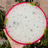 #1 Resin Dragon Fruit Painting (8 inches).