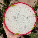 #2 Resin Dragon Fruit Painting (8 inches).