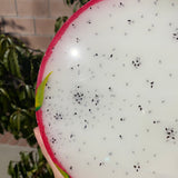 #1 Resin Dragon Fruit Painting (8 inches).