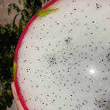 #2 Resin Dragon Fruit Painting (8 inches).