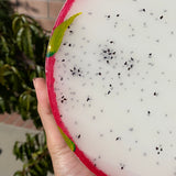 #1 Resin Dragon Fruit Painting (8 inches).